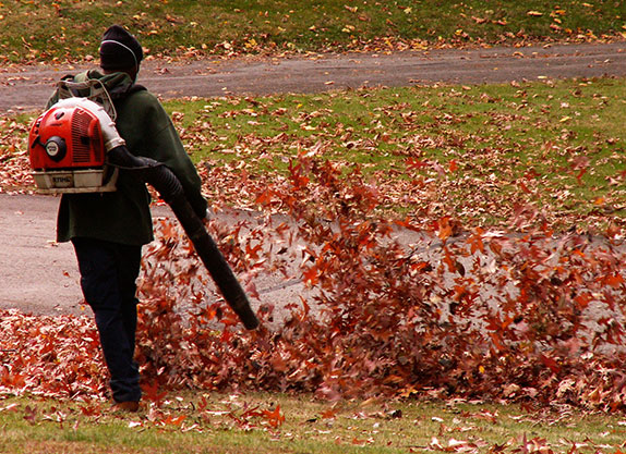 spring-fall-2 spring-fall-2